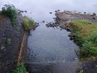 DSC01920