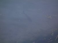 DSC01929