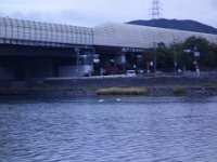 DSC01960