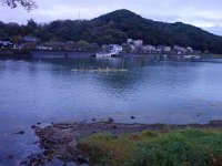 DSC01967