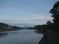 DSC01981