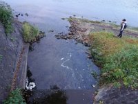 DSC01985