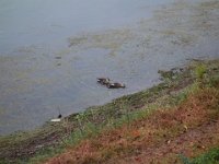 DSC02029