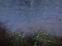 DSC02056
