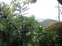 DSC02058
