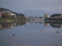 DSC02076