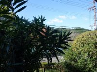 DSC02084