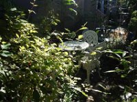 DSC02086
