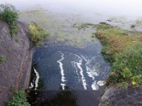 DSC02099