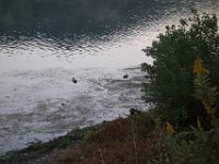 DSC02100