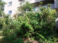 DSC02141