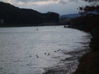 DSC02180