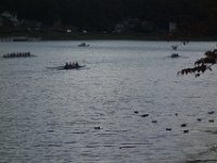DSC02184