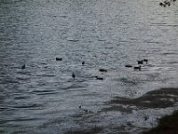 DSC02185