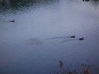 DSC02251