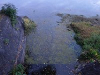 DSC02269