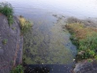 DSC02291