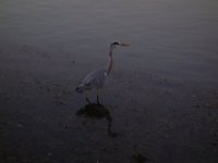 DSC02297