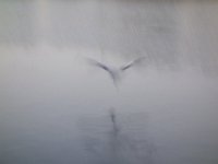 DSC02298