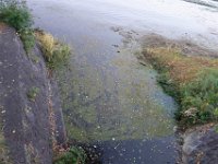 DSC02326