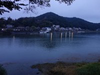DSC02338