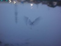 DSC02351