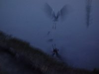 DSC02353