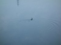 DSC02363