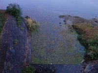 DSC02366