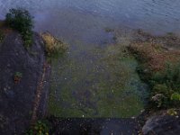 DSC02413