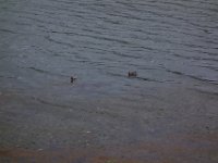 DSC02414