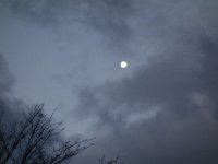 DSC02415
