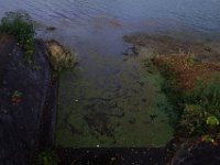 DSC02445