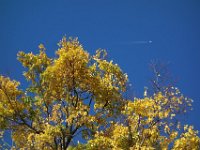 DSC02455