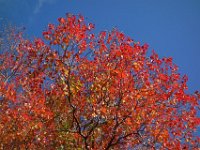 DSC02456