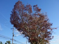 DSC02471