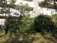 DSC02475