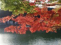 DSC02478