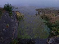 DSC02497