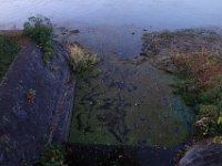 DSC02511