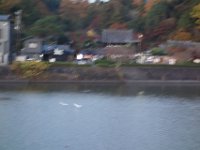 DSC02525