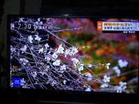 DSC02530