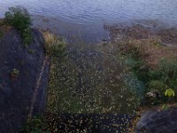 DSC02544