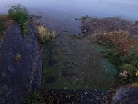 DSC02570