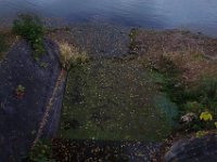 DSC02582