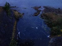 DSC02599