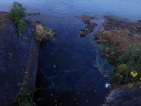 DSC02616