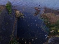 DSC02651