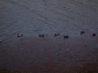 DSC02652