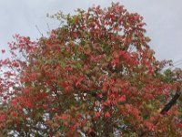 DSC02673